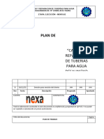 Plan de Trabajo - Nexa - Vyp Ice