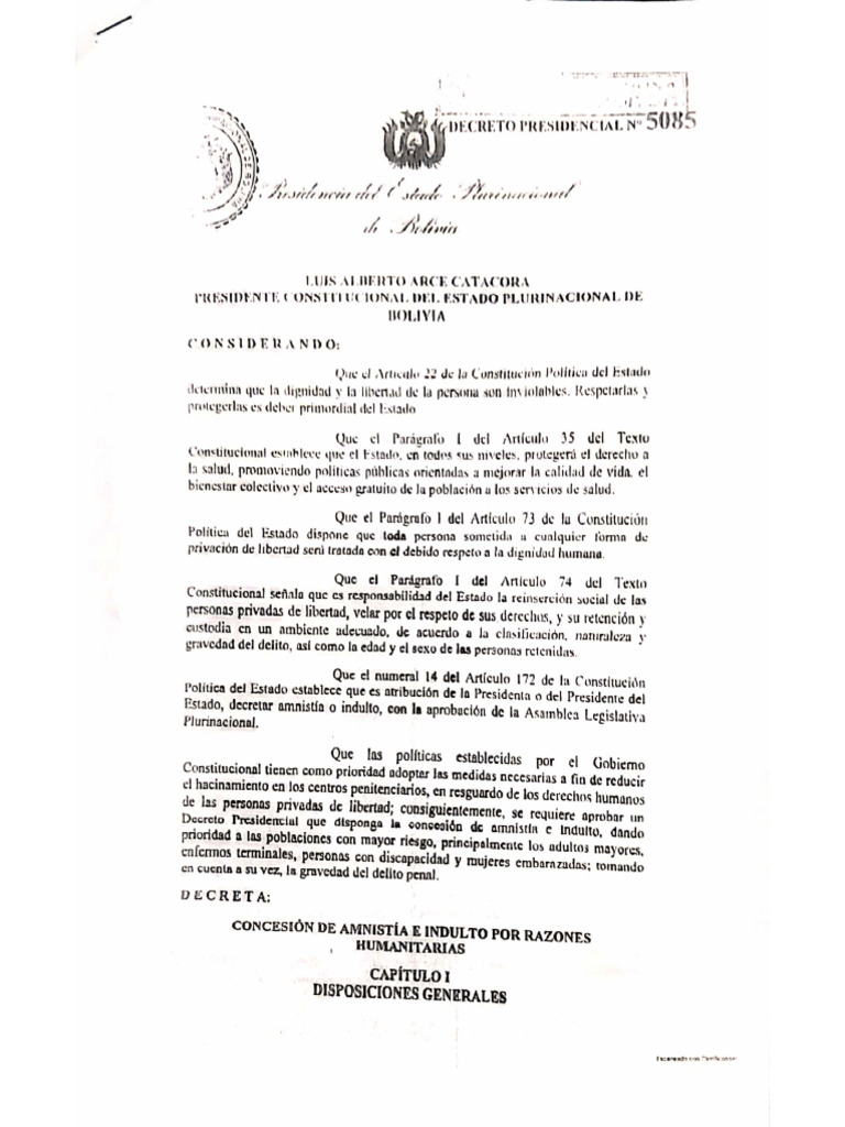 Indulto y amnistía 2024 PDF