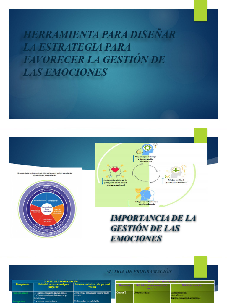 Estrategia para Favorecer La Gestión de Las Emociones | PDF ...
