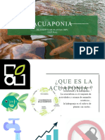 Acuaponia 20231018 095930 0000