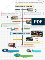 Condicionantes Del Comportamiento Del Consumidor - Compressed