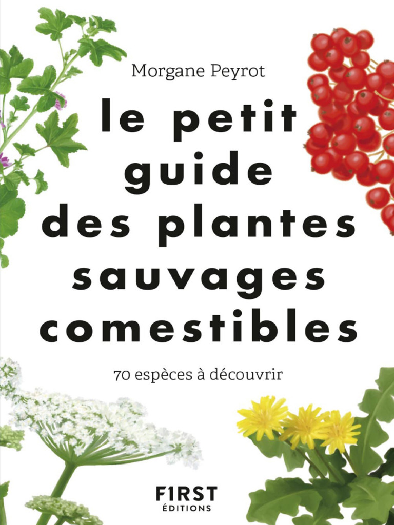 Fleurs comestibles: quand le jardin s'invite dans l'assiette