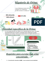 Presentacion Fisio Renal Mirelvis