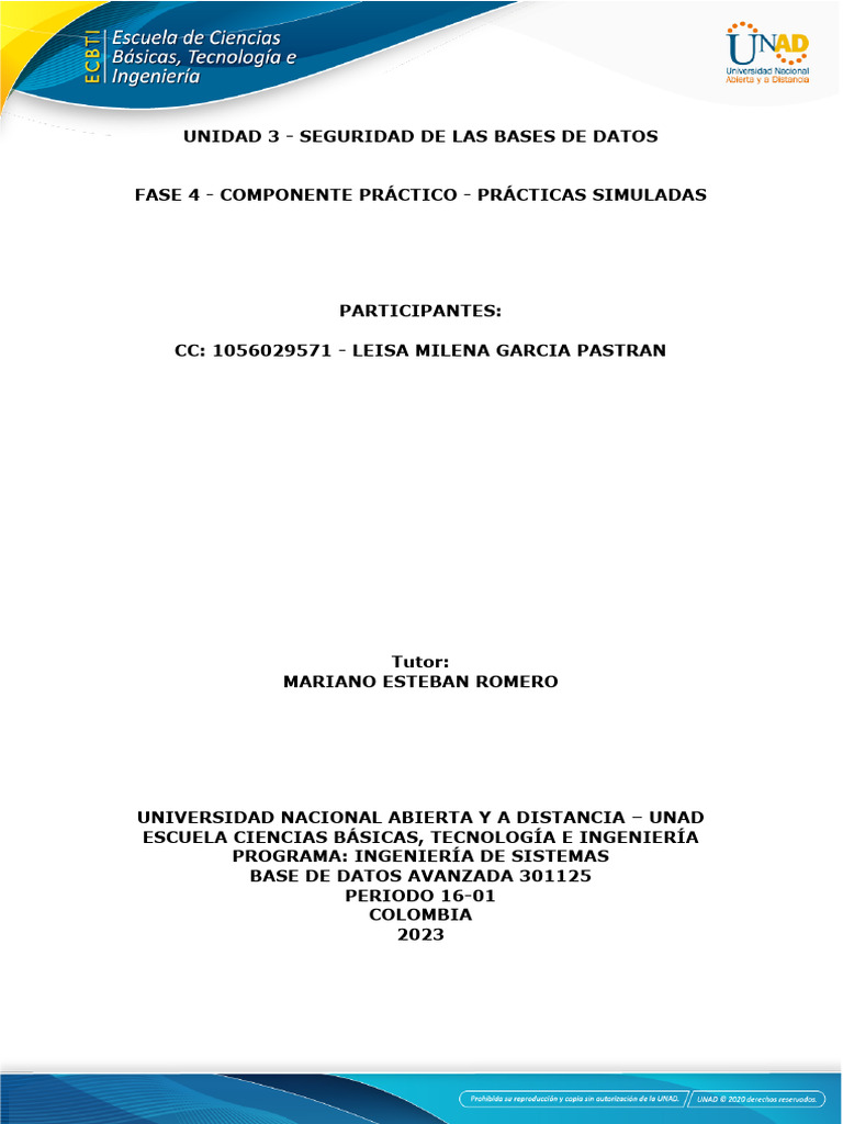 Seguridad en Bases de Datos Avanzadas | PDF