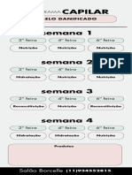 Infográfico Cronograma Capilar Moderno Cinza e Verde - 20231216 - 093211 - 0000