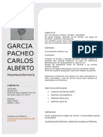 CV Carlos Alberto Garcia Pacheco