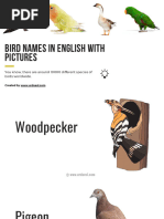 A to Z List of Bird Names | PDF