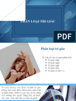 KB4-HD12. Xem PDF Phan Loai Tri Giac