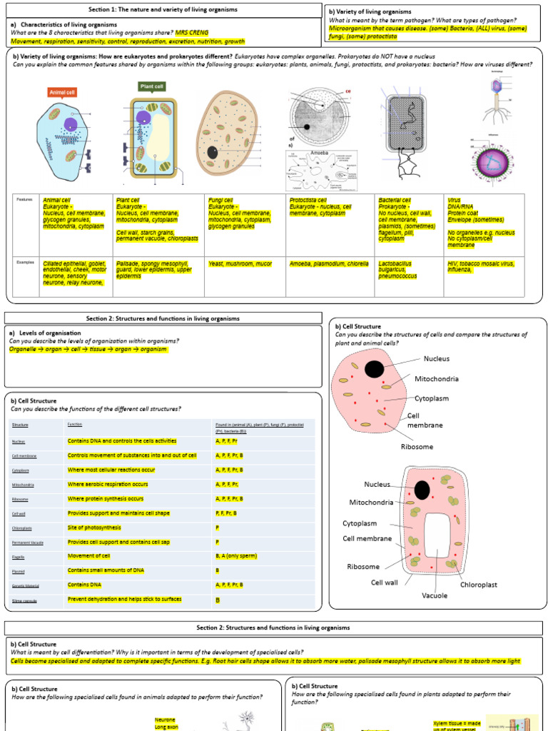 Igcse revision mindmaps new specification double award answers year 10