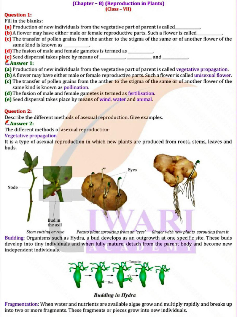 7th Science CH 8 | PDF