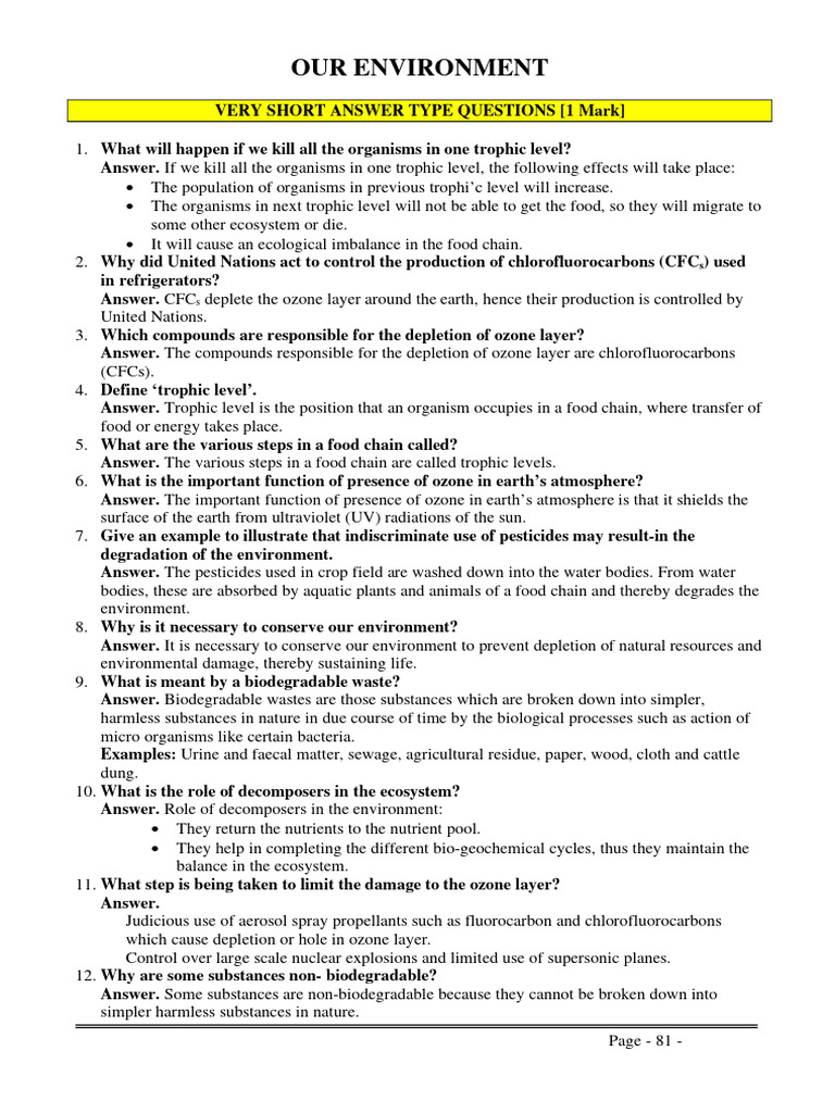 Our Environment | PDF | Science & Mathematics