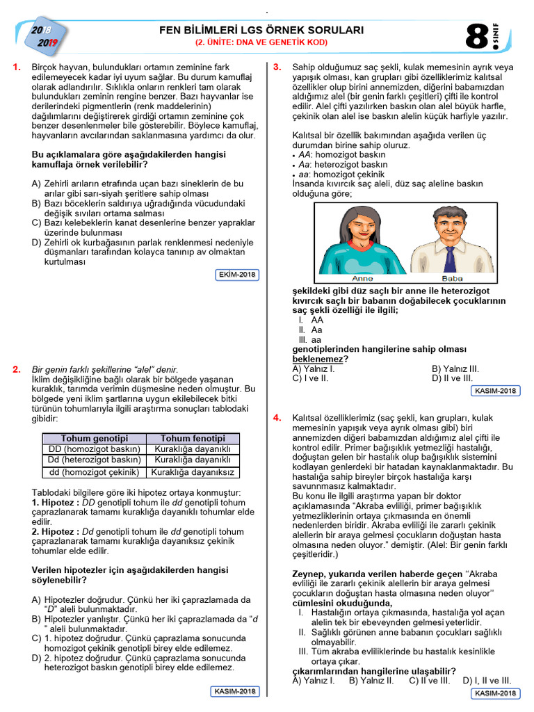 8-2-dna-ve-genetik-kod-pdf