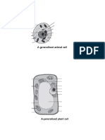 BIOLOGY IGCSE Diagrams Leveling