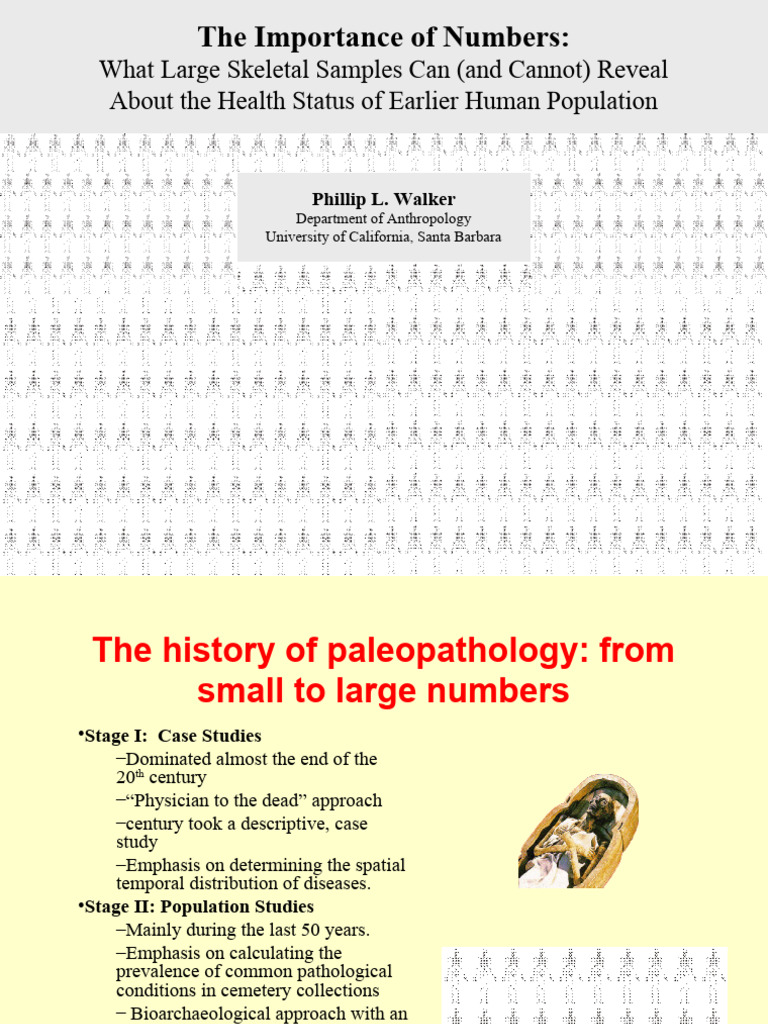 The Importance Of Numbers In The Bible