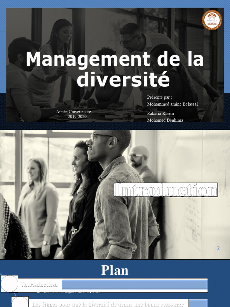 Management de La Diversite PDF | PDF
