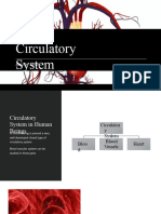 Circulatory 1.1