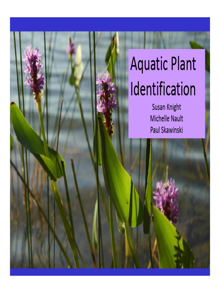 Aquatic Plant Identification Susan Knight Michelle Nault Paul Skawinski PDF
