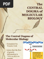 Lesson Plan Grade 10 Mutation | PDF | Genetic Code | Gene