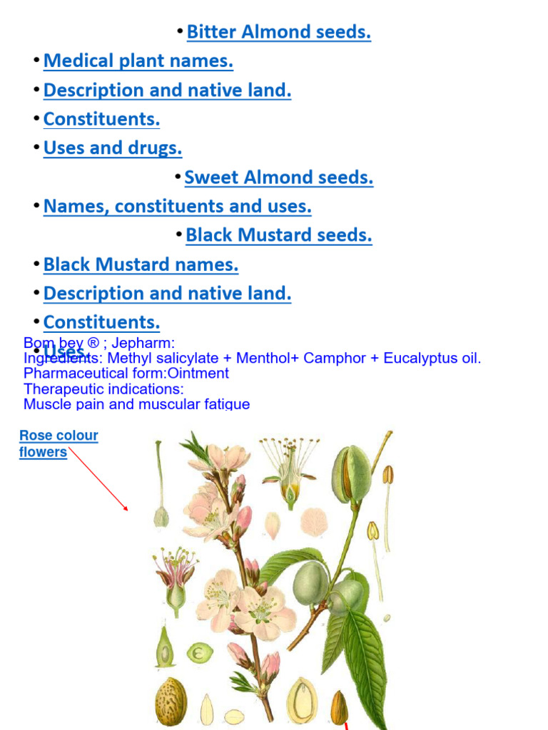 Final Pharmacognosy Pdf