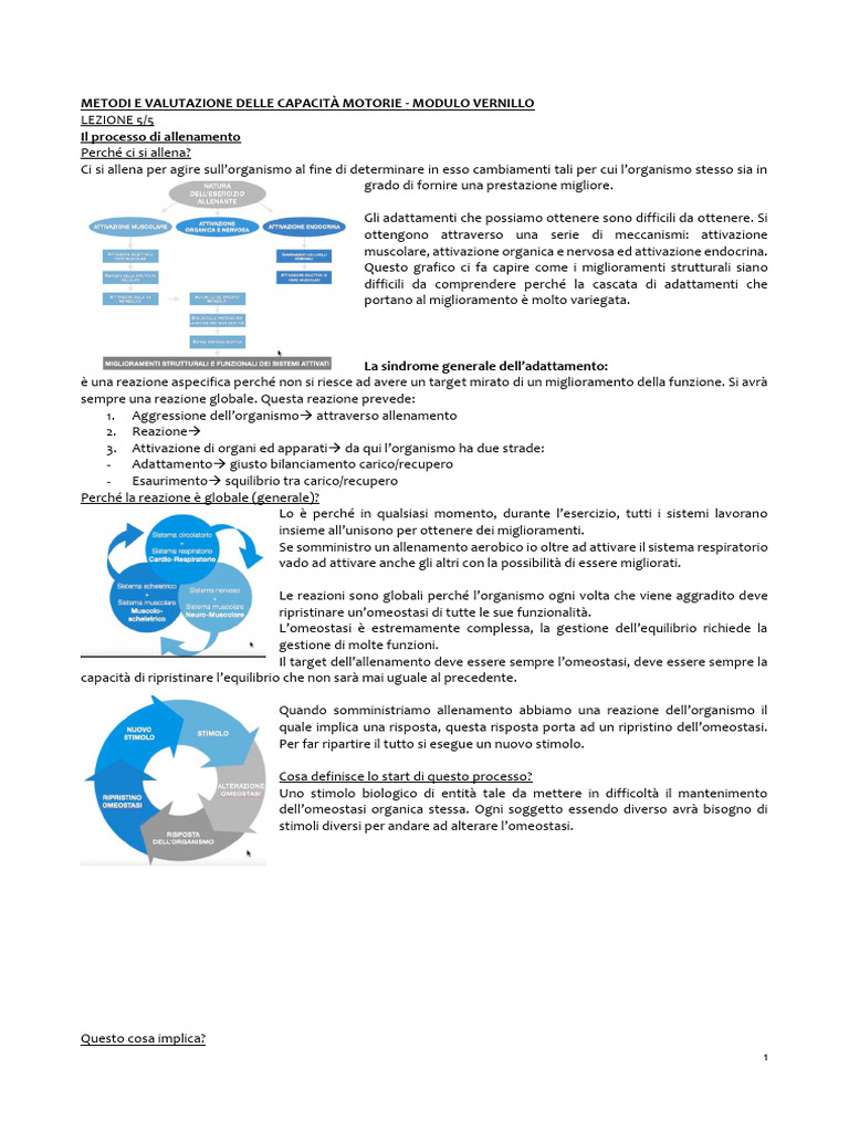 Modulo 1 | PDF