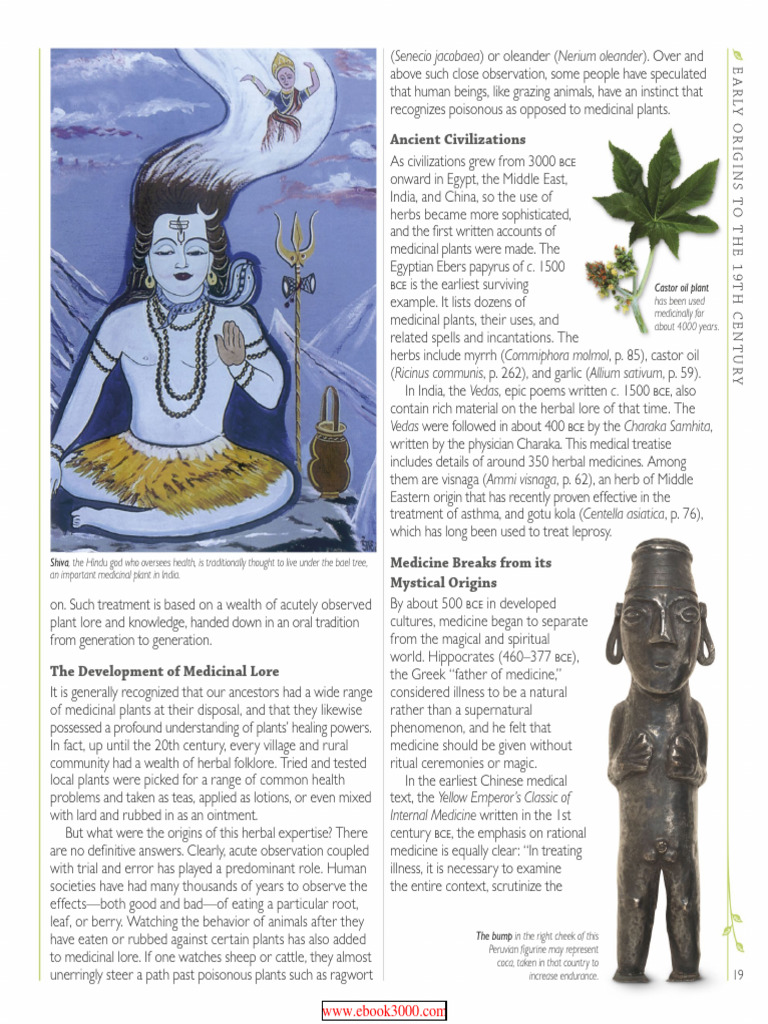 Encyclopedia of Herbal Medicine2 PDF