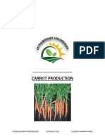 Carrot Production