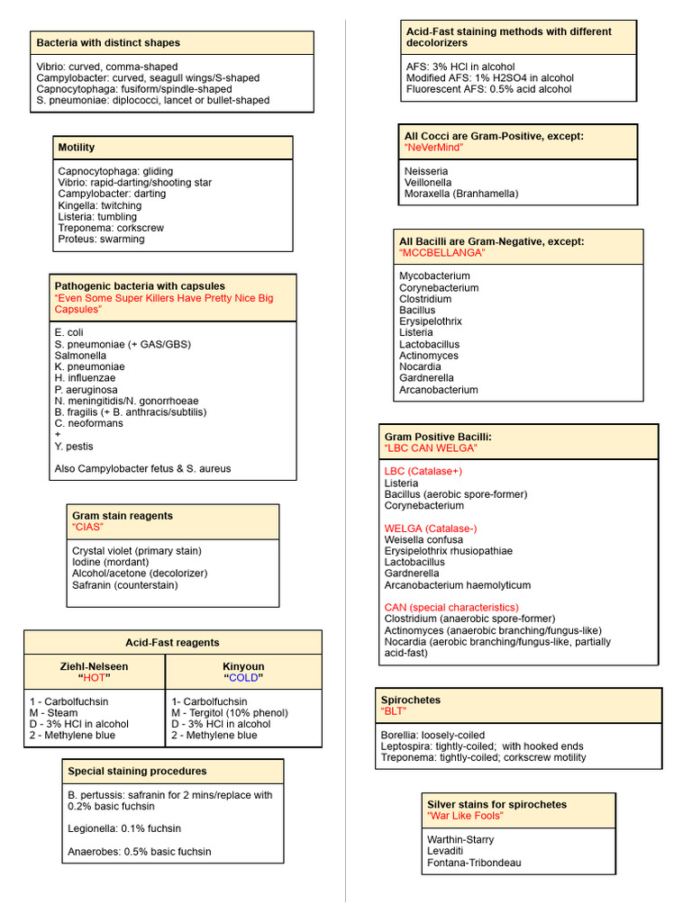 Microbiology Mnemonics 1 PDF