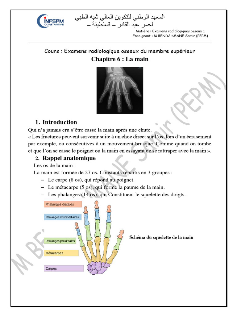 Main | PDF