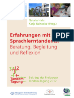 Tandem Tagung Freiburger 2012 Erfahrunge