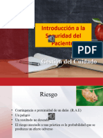 Introducción A La Seguridad Del Paciente