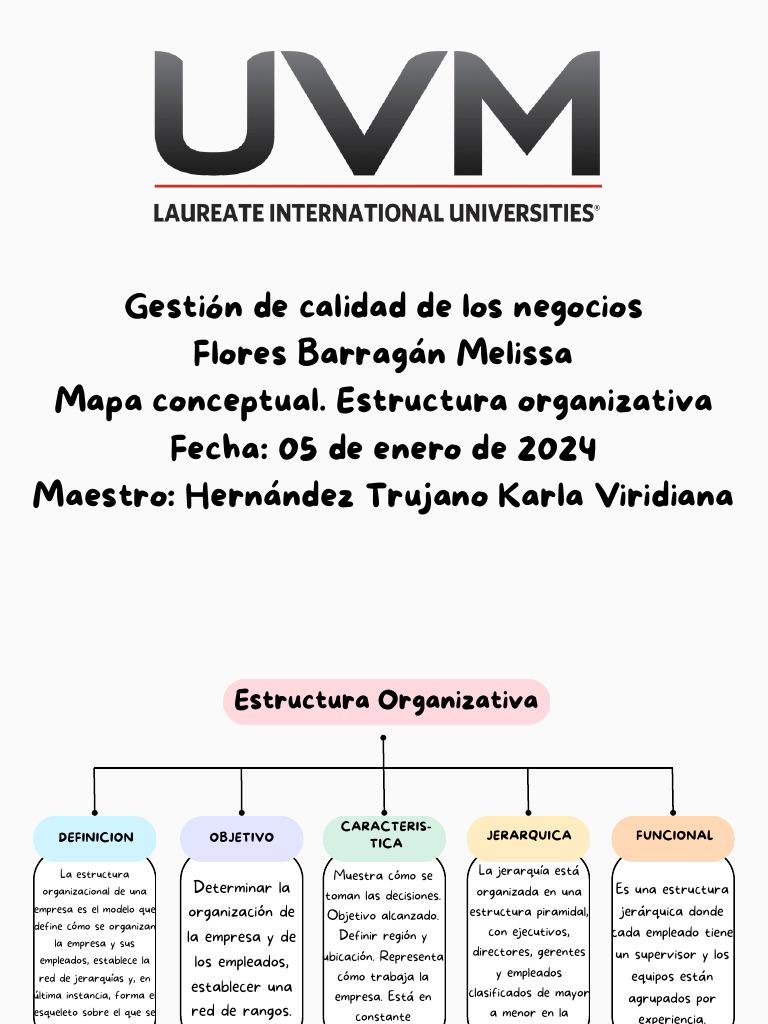 Mapa Conceptual. Estructura Organizativa | PDF