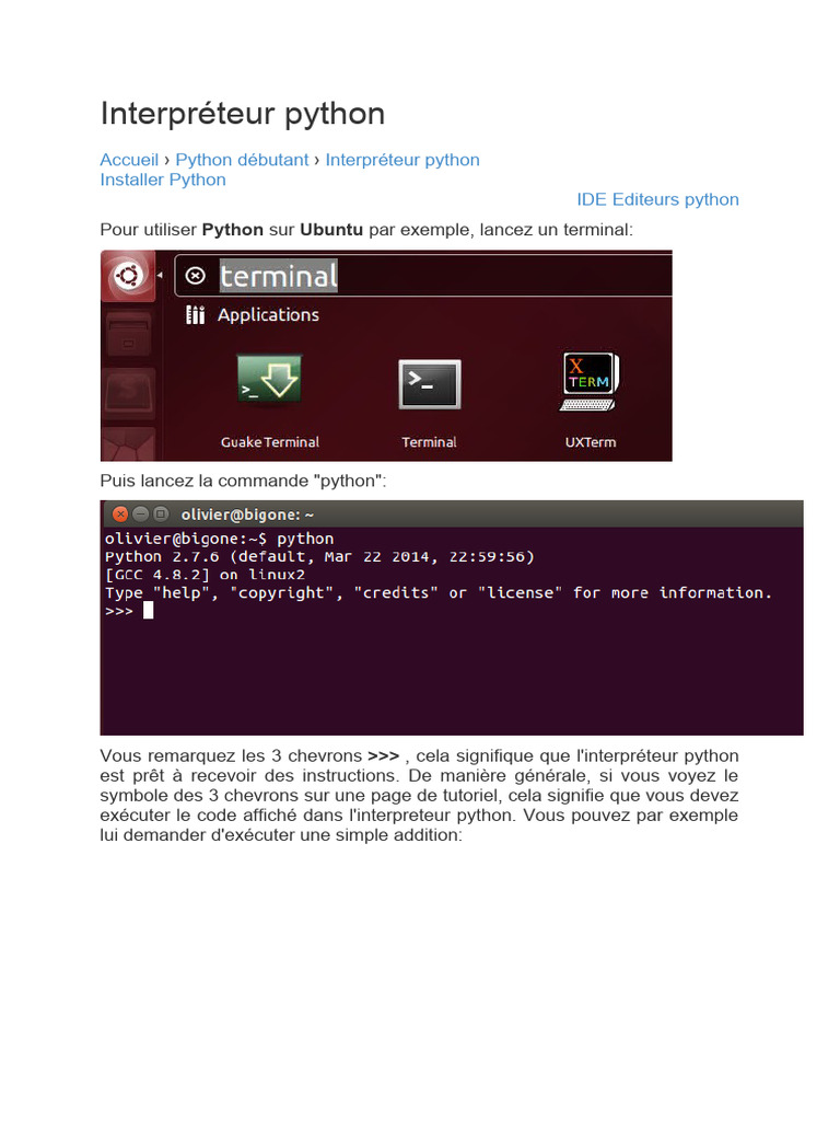 Interpréteur Python PDF