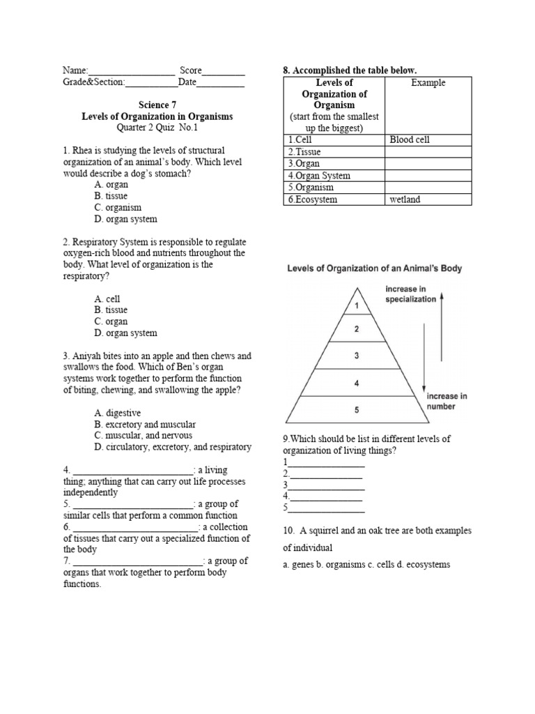 Levels of Organization (Multiple Choice) PDF
