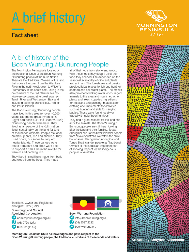 History_FactSheet_2018 PDF