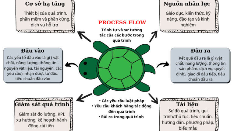Sơ Đ Con Rùa | PDF