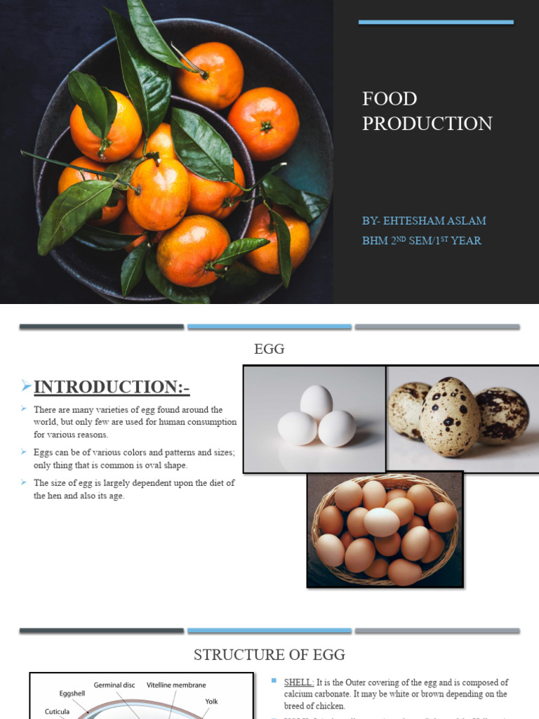 Food Production PDF