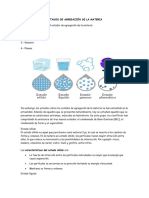 Estados de Agregación de La Materia