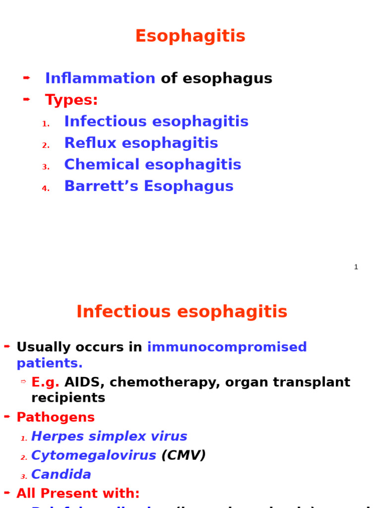 Esophagus intelligence overview