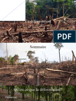 Déforestation
