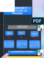 La Función y Objeto de La Prueba