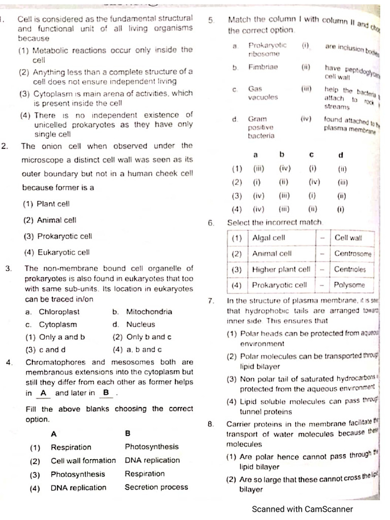 Cell Test 1 | PDF