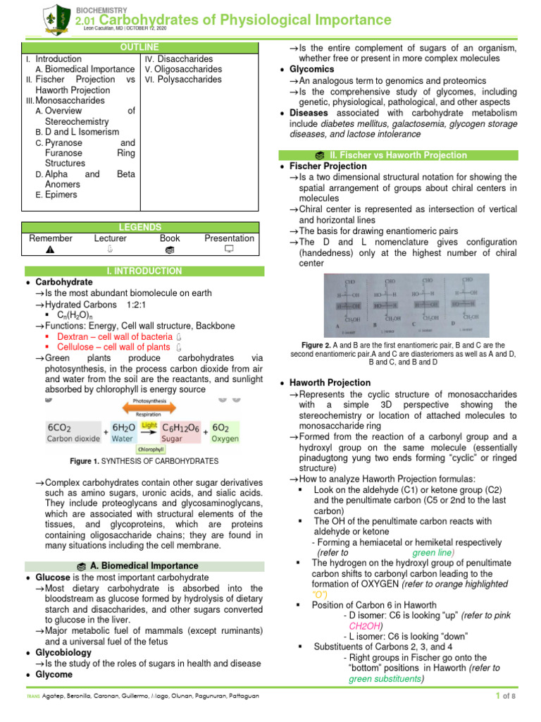 (BIO) 2.1 Carbohydrates of Physiological Importance | PDF