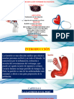 Exposición Gastritis Mis Ana