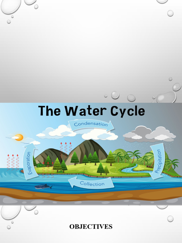 Water Cycle PDF