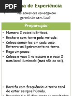 Experiências com plantas