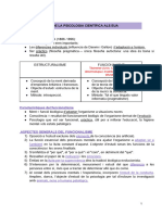 T.8 - Els Inicis de La Psicologia Científica Als EUA