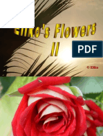 Eliko's Flowers 2