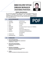 Curriculum Vitae Adrian Ronald Postigo