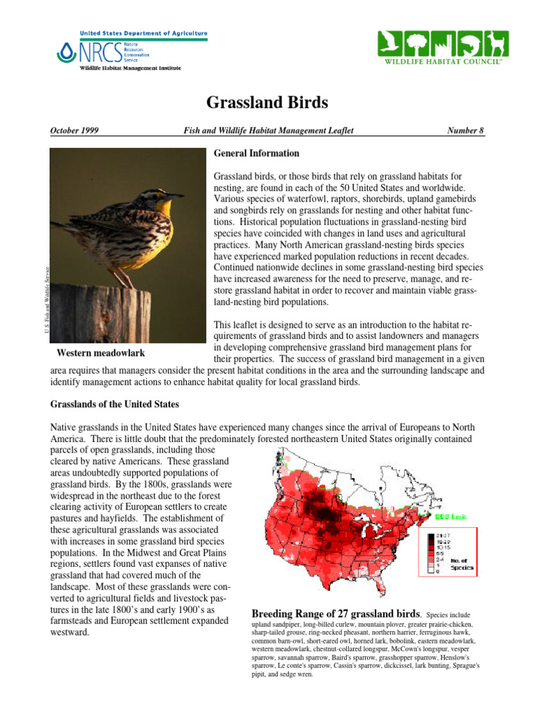 Grassland Birds | PDF