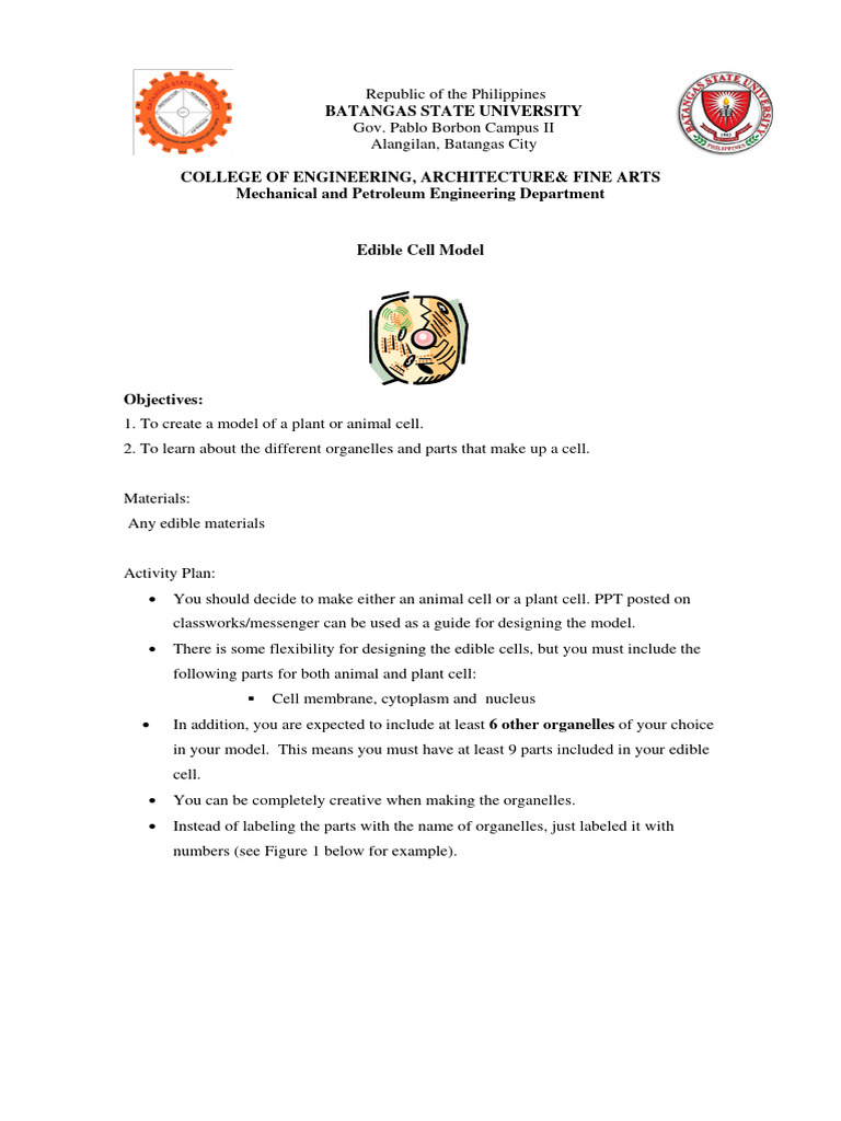 Edible Cells Activity Plan Pdf